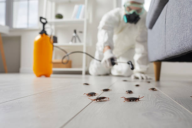 Commercial Kitchen Cockroach Control in South River